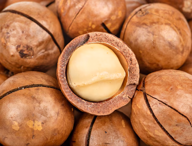 Macadamia Harvest