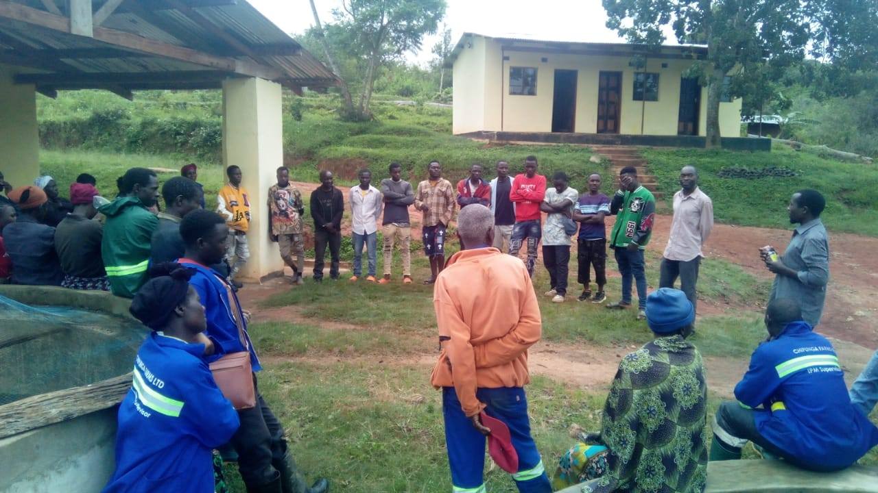 Community Impact
