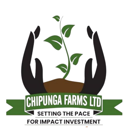 Chipunga Farm Logo